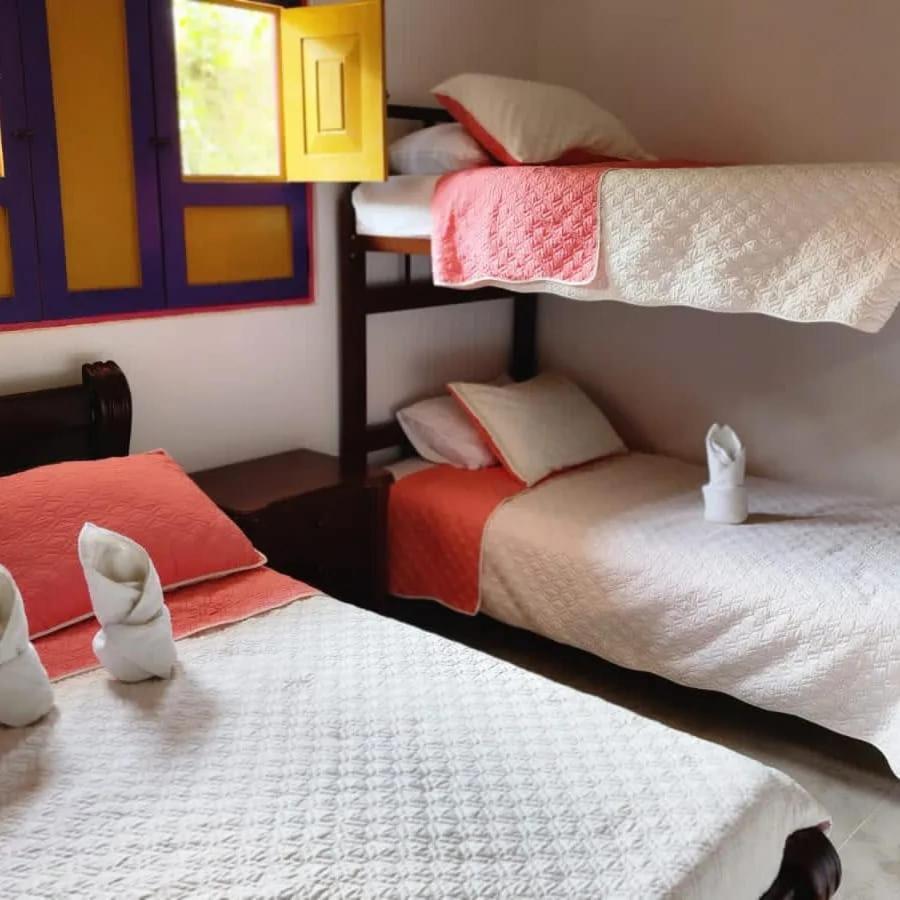 Hostal Palmas De Cocora Hostel Salento Ngoại thất bức ảnh