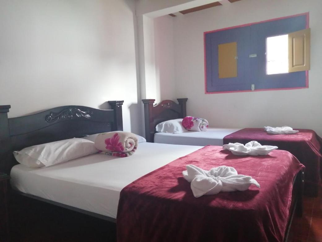 Hostal Palmas De Cocora Hostel Salento Ngoại thất bức ảnh